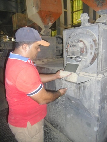 Arroz con sello joven