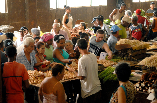 Precios en el agro disminuirán