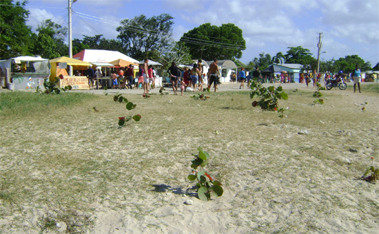 Playa Blanca