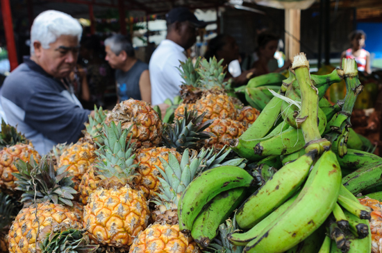 Comercialización 