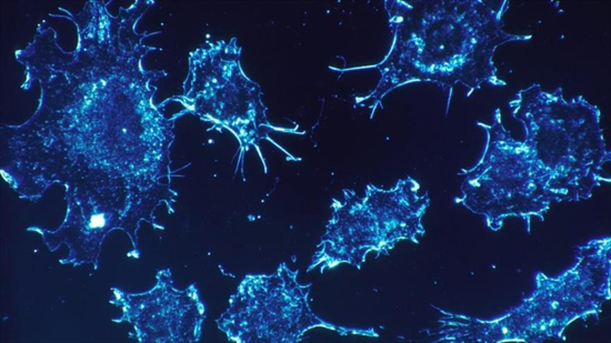 Lucha contra el cáncer: nuevo método podría prescindir de la quimioterapia  