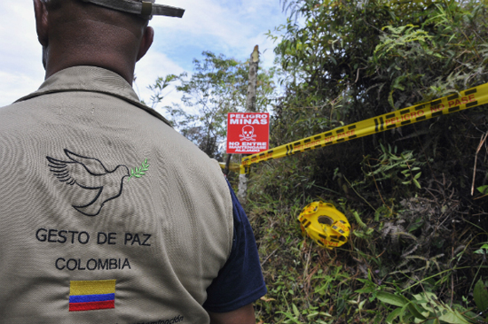 Peligra proceso de desminado en Colombia