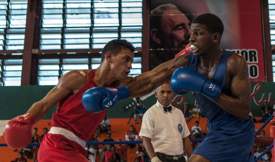 Serie Nacional de Boxeo