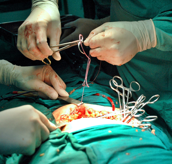 Un acto de elevada conciencia humanitaria