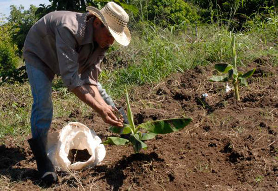 Agroecología en Cuba