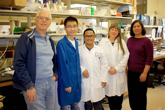  Equipo de investigadores del Instituto de Nanosistemas de California