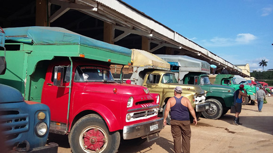 Precios en el Agromercado: El Trigal no da aún mucho trigo