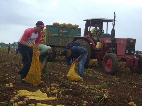 El campo