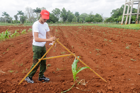 Ingeniería Agronómica