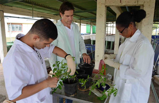 Biotecnología cubana