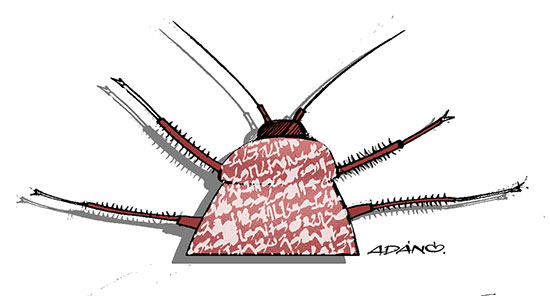 Cucaracha