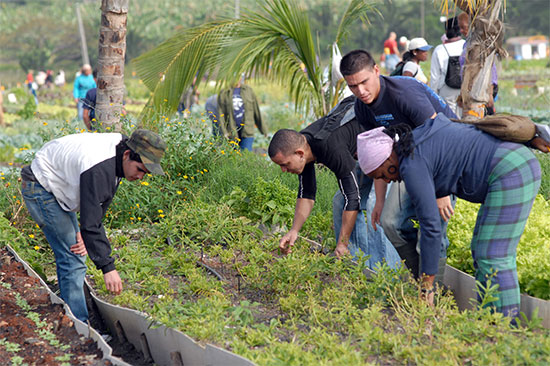 comunidad agropecuaria y académica de Estados Unidos