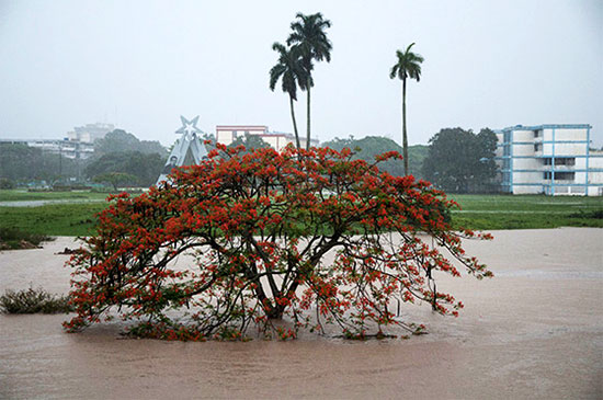 Las lluvias en Pinar del Rio