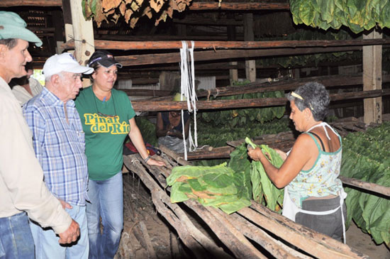 Visitó Machado Ventura estructuras productivas pinareñas  