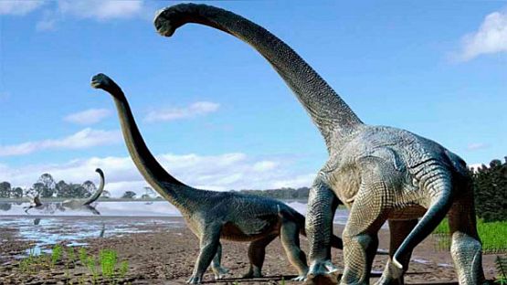 Savannasaurus Elliottorum