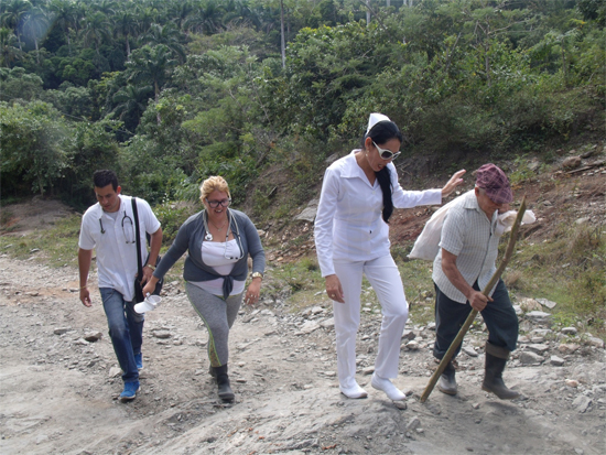 Los doctores