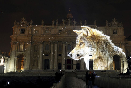 Imágenes de Joel Sartore