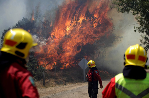 Bomberos luchan en la provincia de Bío Bío por apagar las llamas