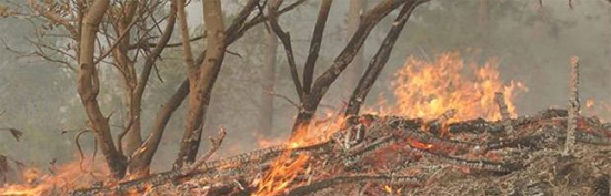 Incendio en Chile