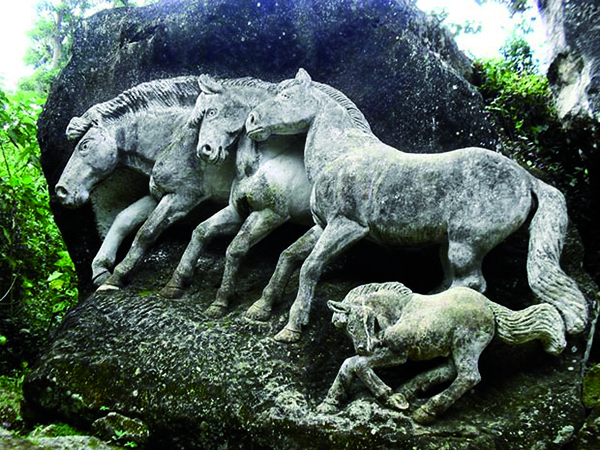 El Zoológico de Piedra