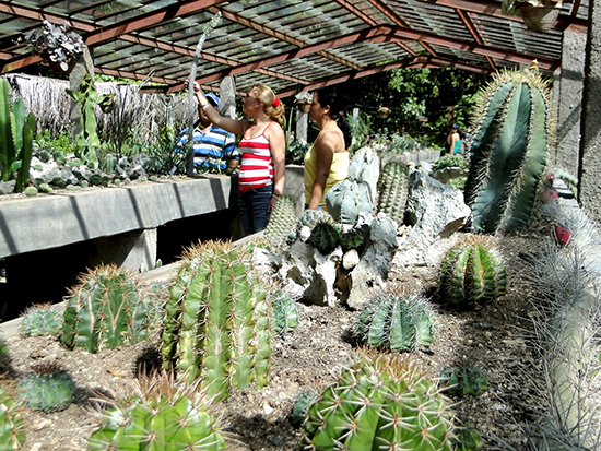 Jardín Botánico de Granma