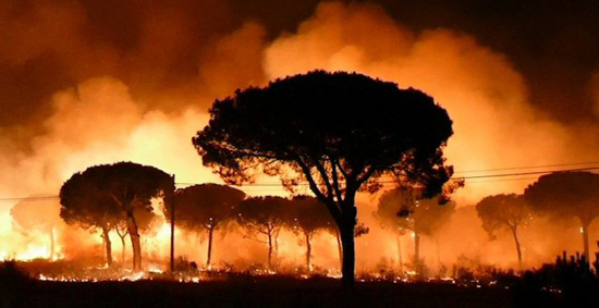 Incendio forestal en Esapaña
