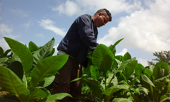 Michel Cabreras Díaz