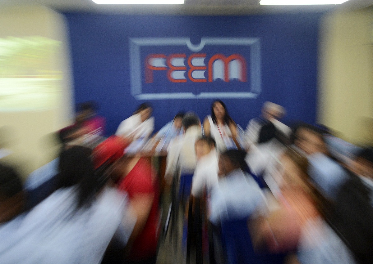 FEEM