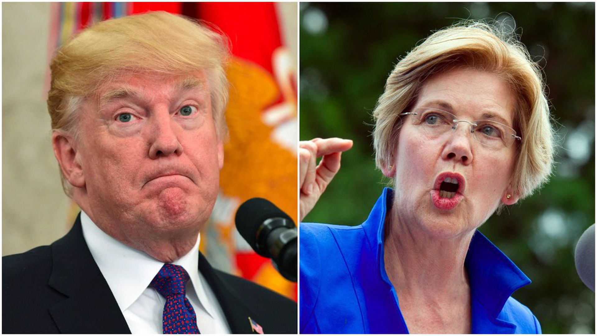 Elizabeth Warren vs. Donald Trump