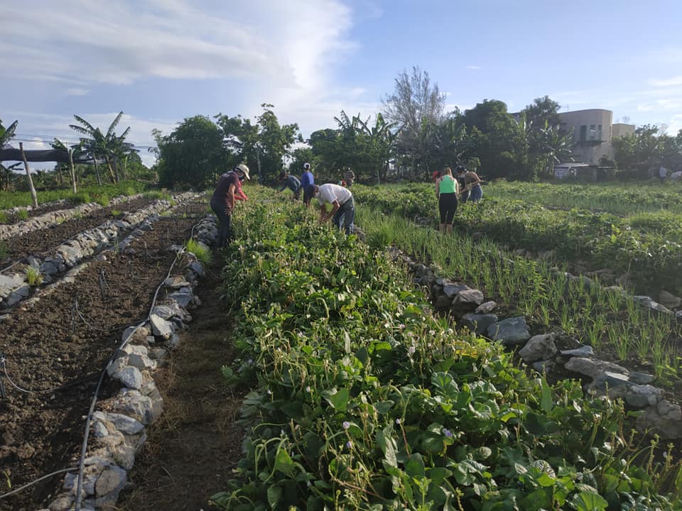 La juventud de Pinar del Río disfrutará del verano y se mantendrá vinculada a tareas de impacto social 