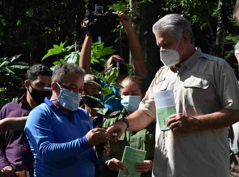 Díaz-Canel visitó una despulpadora donde se están procesando 2 300 latas recuperadas luego del paso de la tormenta tropical Eta