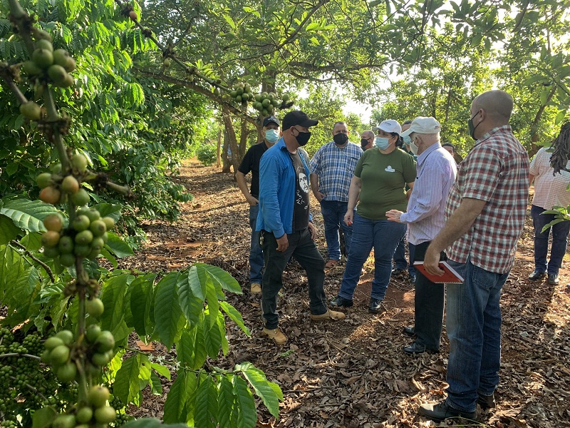 Osmani Cordero Alfonso, destacado productor de café 