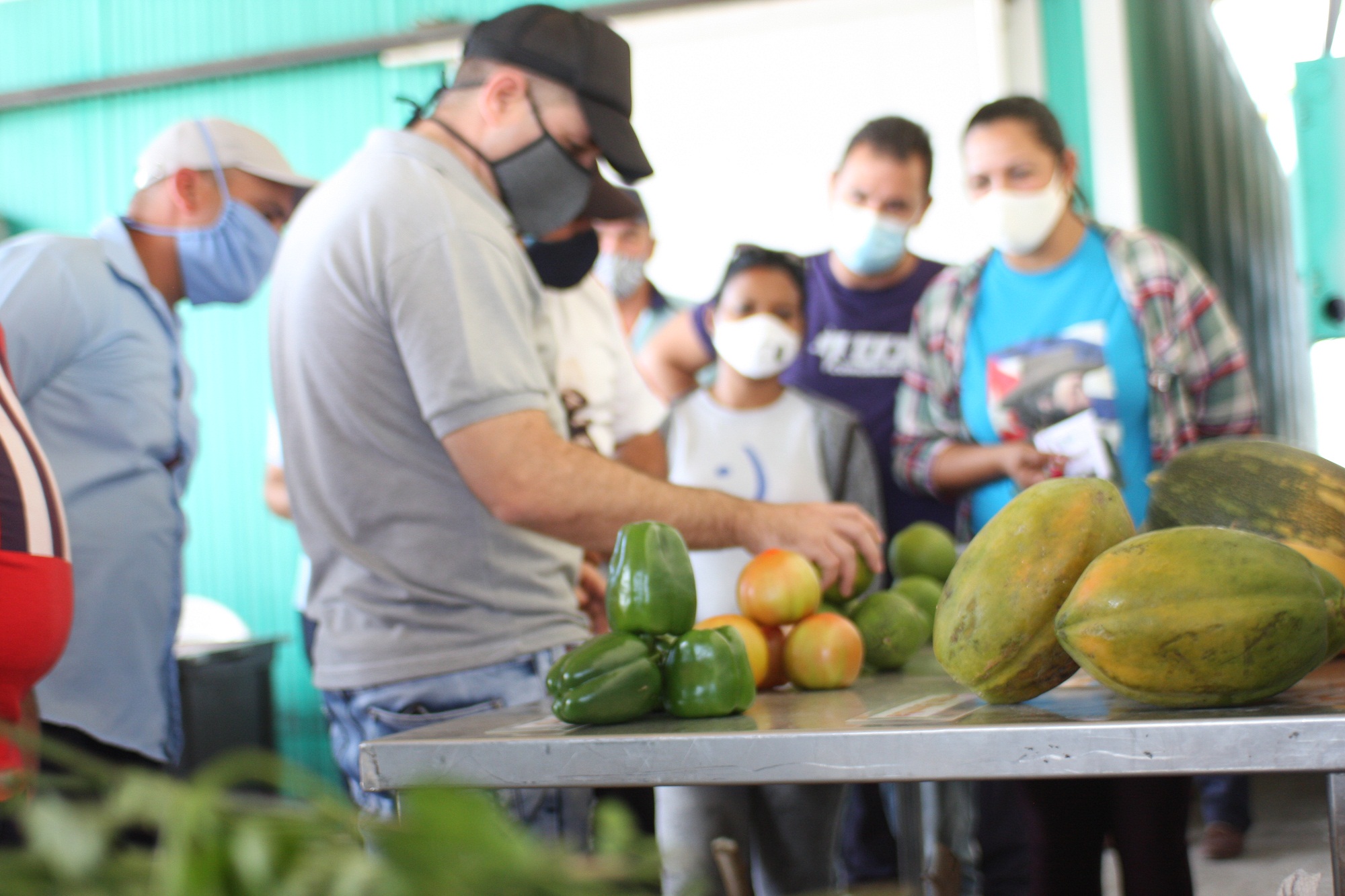 Desde los cultivos varios se desprenden los buenos resultados de la Empresa Agropecuaria La Jíquima