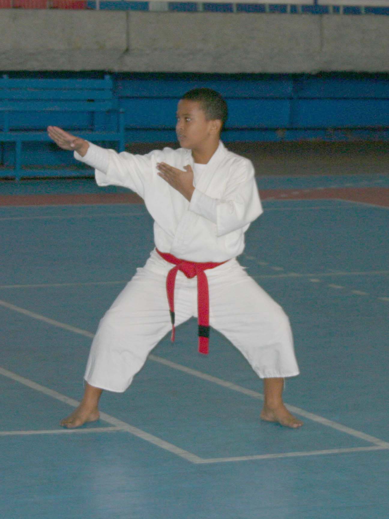 Las divisiones en competencia serán Tae Guk Ruk Jang y Tae Guk Chil Jang preinfantil 9-10 años e infantil 11-12 en Tae Guk Pall Jang y Koryo Poomsae