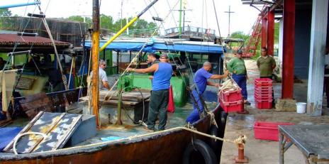 Preparación en la Ciénaga de Zapata para el paso de Elsa