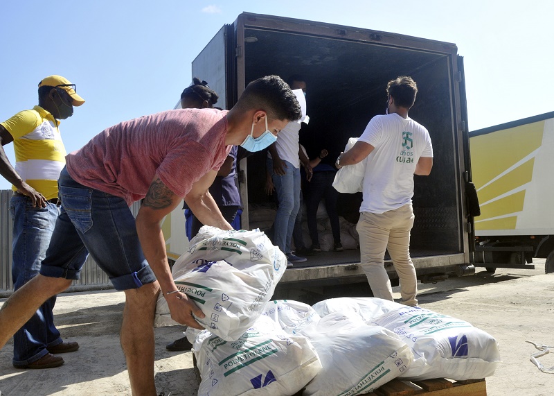 Jóvenes capitalinos colaboran en la distribución de los módulos de alimentos que llegan a las familias cubanas