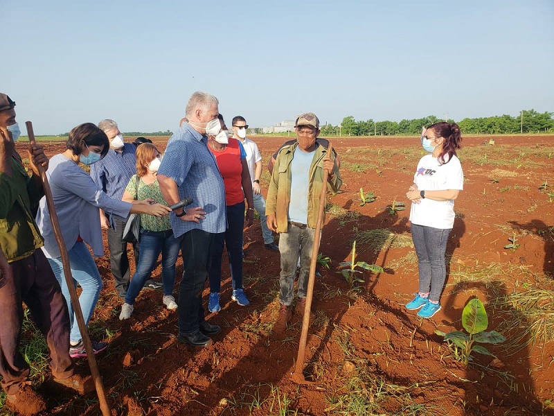 Visita el Primer Secretario del Comité Central del Partido Comunista y Presidente de la República, Miguel Díaz-Canel Bermúdez, polo productivo de Mayabeque. 