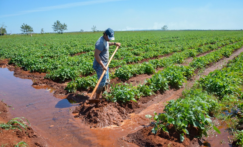 Productos alimenticios