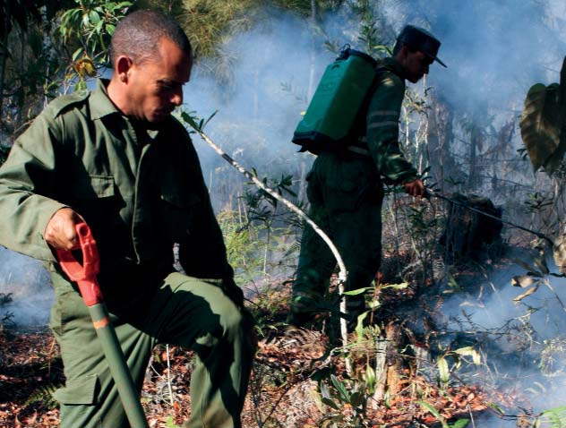 Incendio de grandes proporciones en Pinares de Mayarí