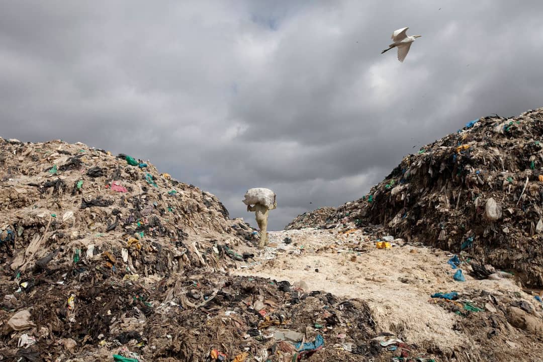 Este año las celebraciones a nivel mundial tienen como temática principal la contaminación por plástico