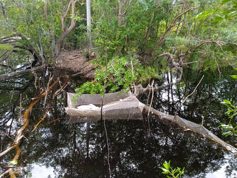 Tranque con mayas para la pesca ilegal en territorio cenaguero