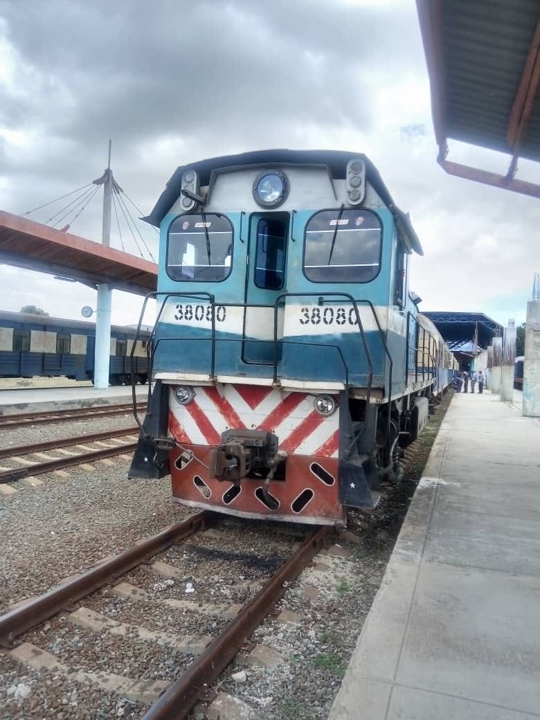Tren universitario