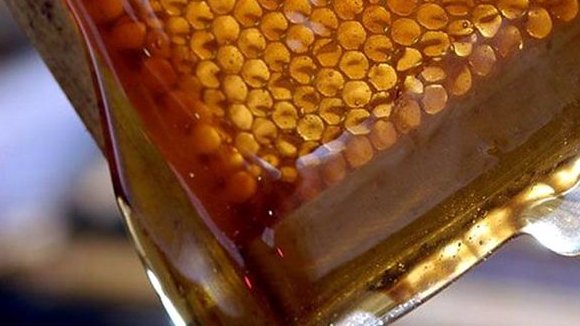 Miel de abeja