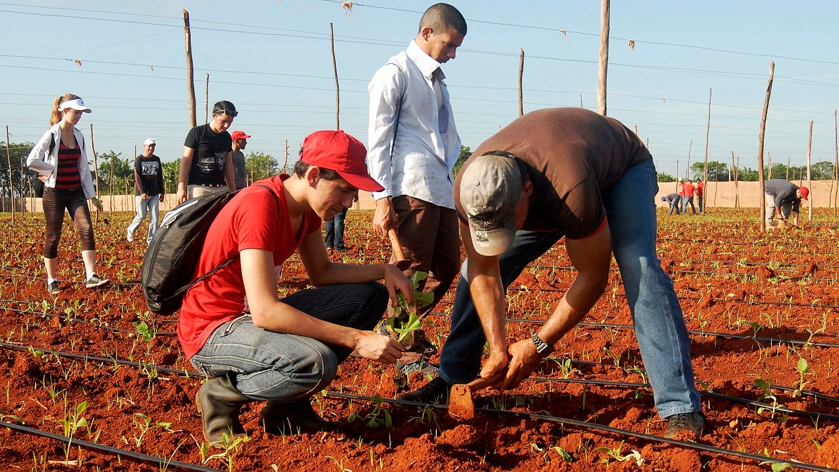 Derechos Laborales