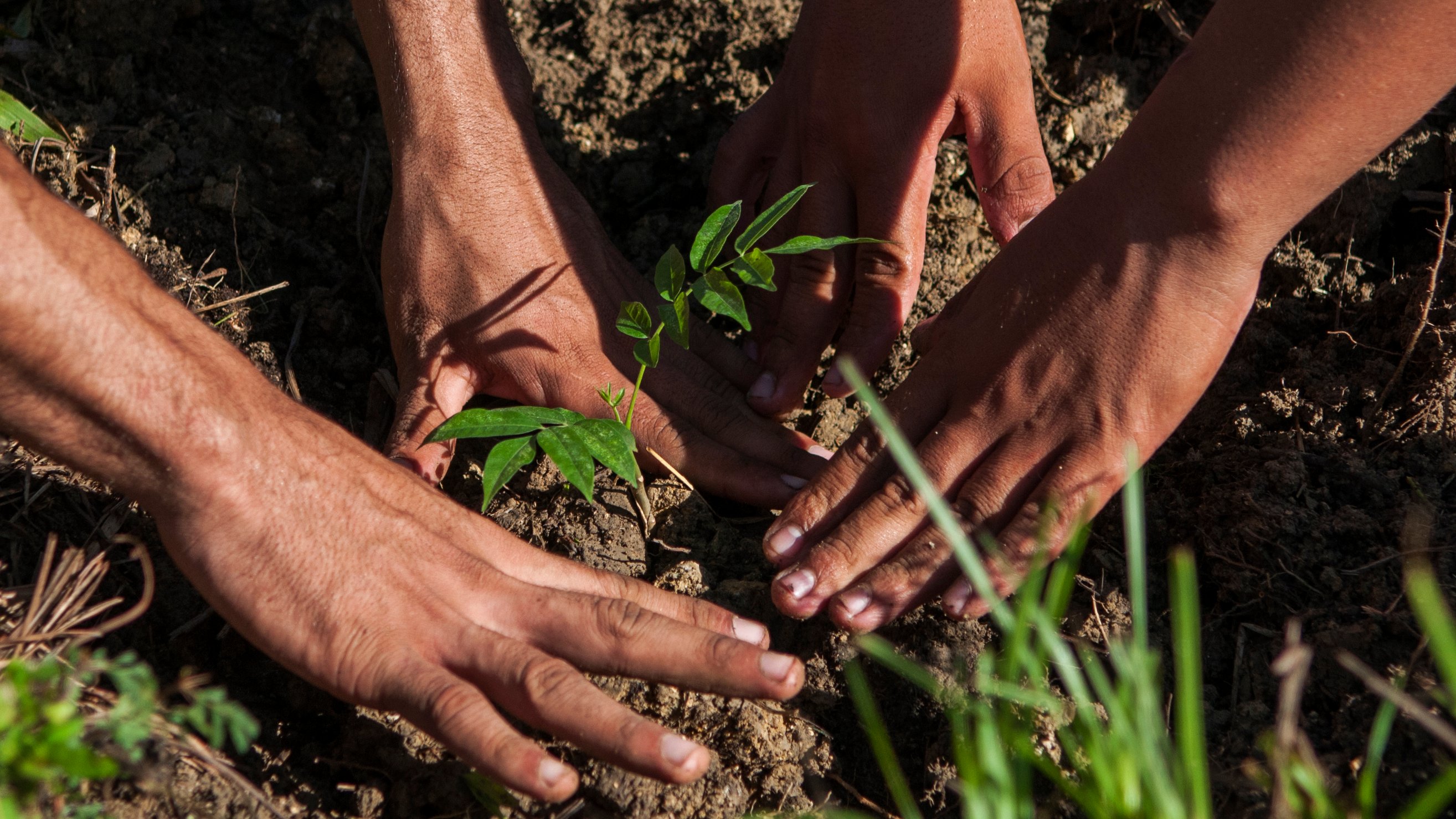 La tierra precisa de amantes