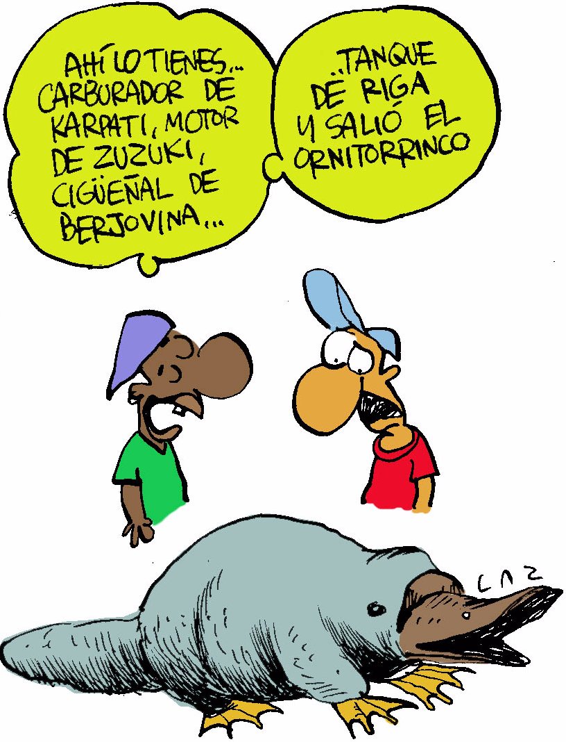 La rueda dentada de las «Karpazuki»