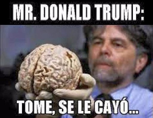 Memes de Donald Trump
