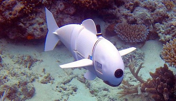 SoFi puede nadar en línea recta, girar o bucear hacia arriba o hacia abajo