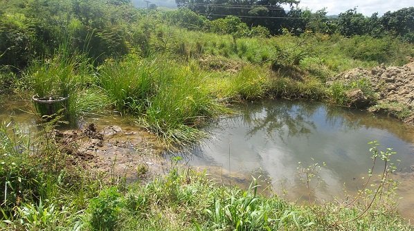 Del agua y sus agregados