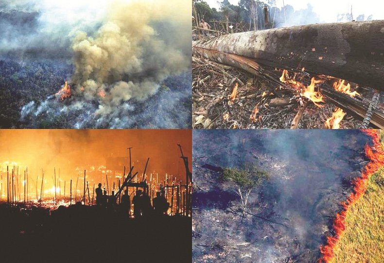 Incendios en la Amazonía